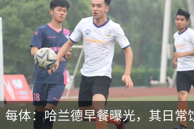 每体：哈兰德早餐曝光，其日常饮食热量最高可达6000大卡